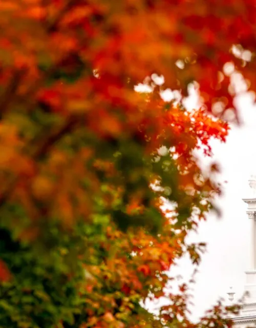 Eliot House highlighted by fall color.