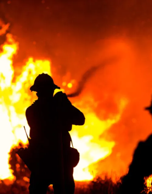 Firefighters battle the Bobcat Fire in Juniper Hills, Calif.
