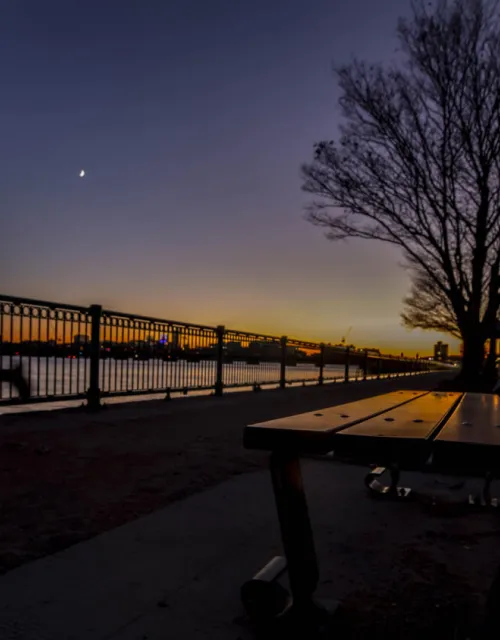 A runner passes the banks of the Charles River near MIT.