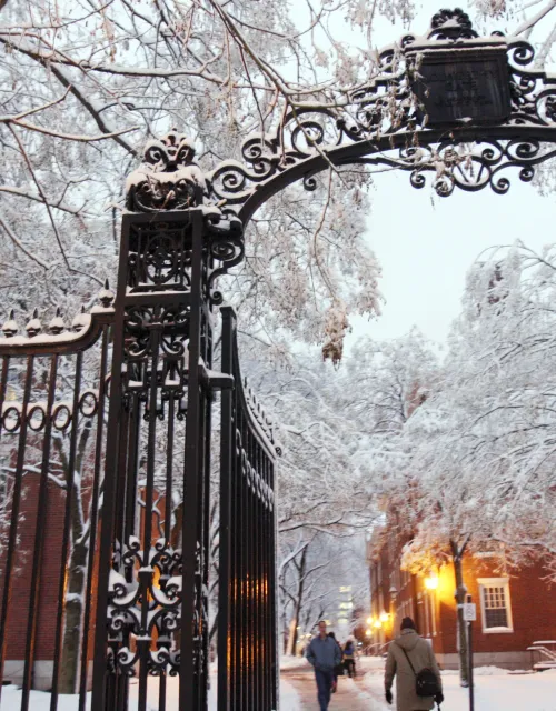 Harvard yard gate in the snow