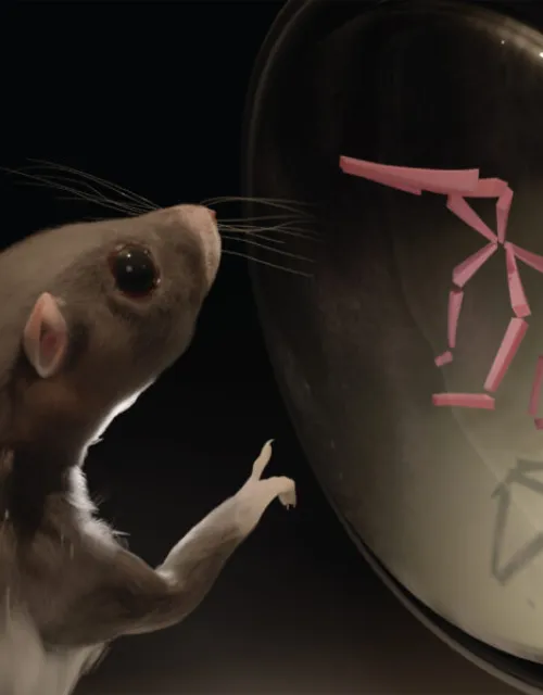 An artist’s interpretation of CAPTURE.