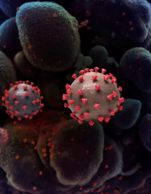 The Star-Friedman Challenge welcomes Harvard faculty proposals from a broad range of fields and perspectives, with proposals focusing on pandemics especially encouraged this year. Applications are due March 1.