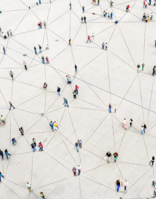 A diagram of a social network.