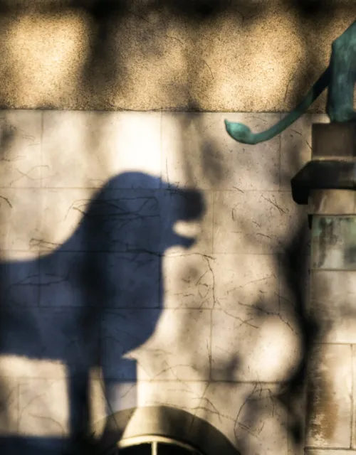 A lion guards the courtyard of Adolphus Busch Hall. The statue is a replica of Braunschweiger Löwe, or Brunswick lion, a cast of the 12th-century bronze from Germany.