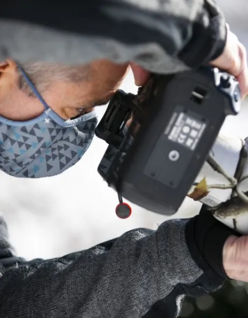 Gonzalo Giribet, professor of organismic and evolutionary biology, has been going out in the early morning to take photographs of birds since the pandemic started. He is pictured in Mount Auburn Cemetery.