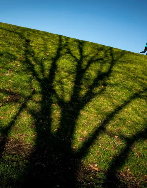 A photo of a runner jogging.