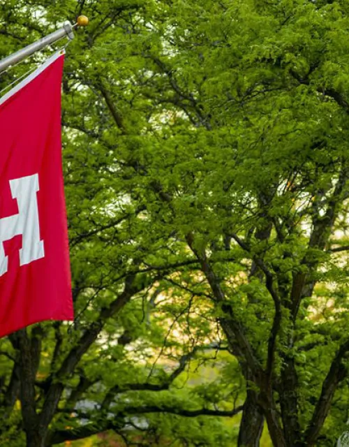 Crimson flag with the letter H