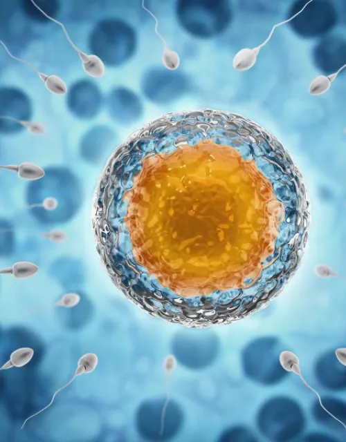 A stock photo of sperm.