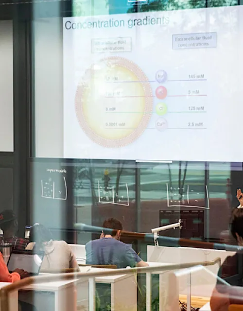 In the first week of classes at the Science and Engineering Complex (SEC) in Allston, Linsey Moyer, lecturer in biomedical engineering, teaches “Quantitative Physiology as a Basis for Bioengineering.”