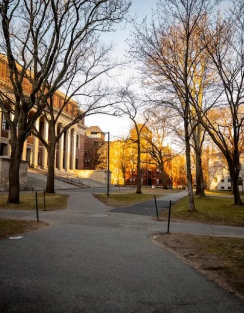 The FAS Committee on Visual Culture and Signage will address the task force’s recommendations to create a more visually inclusive campus.