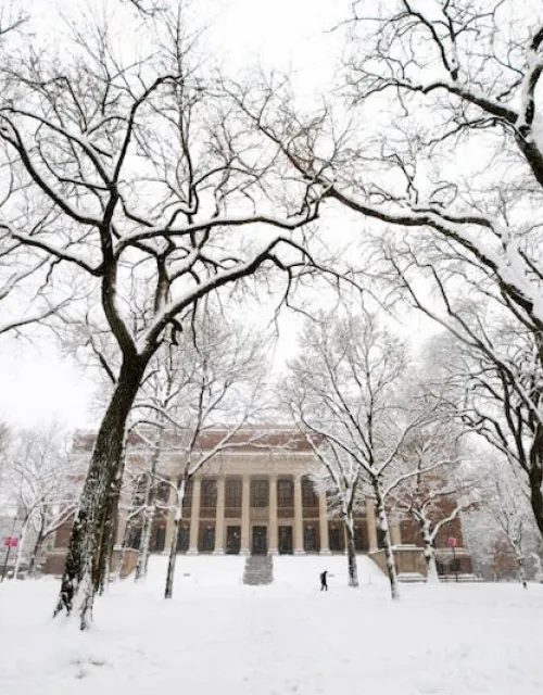 Widener Library in Harvard Yard following the first snow of the year.