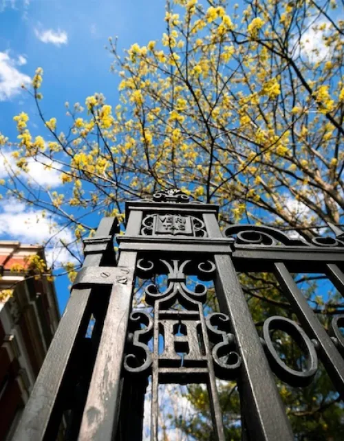 A picture of the Harvard gate.