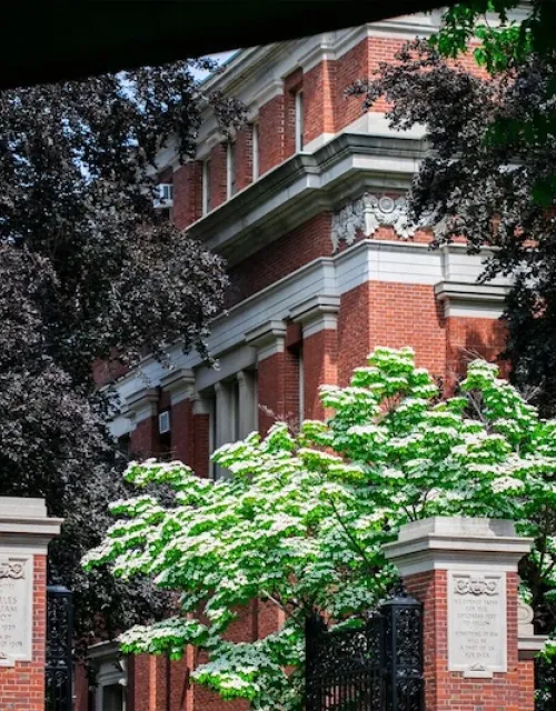 A 2013 gift from James A. Star ’83 established the Star-Friedman Challenge, which supports work by the Faculty of Arts and Sciences.