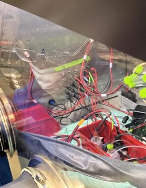 Naphtal Haya, S.B. '22, researched ways to improve the energy density of organic flow batteries for his senior capstone project.