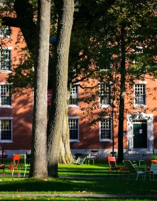 “We are celebrating a depth of achievements in a breadth of areas,” said David Oxtoby, president of the American Academy.