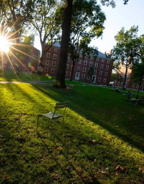 Harvard Yard with the sun shining through the trees.