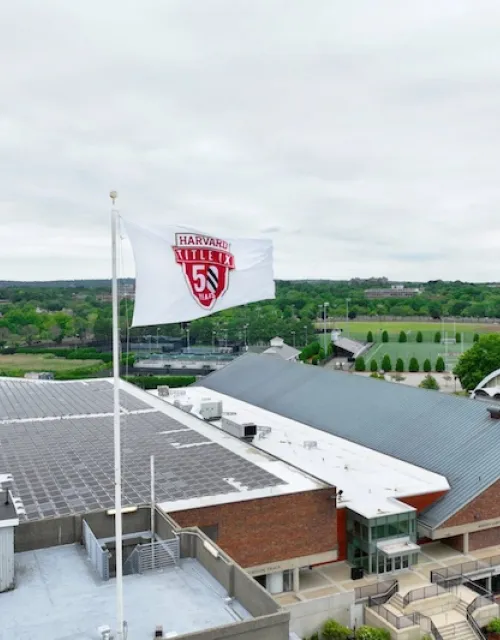 Harvard Title IX flag flying over the athletic fields.