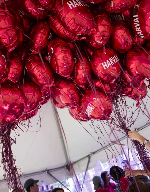 Women holding bunch of red Harvard balloons in tent