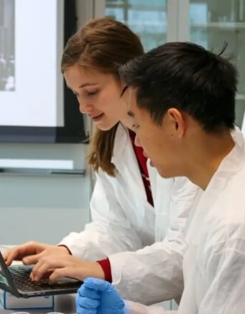 Students work together on their bacterial art design