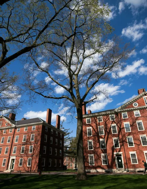 Red brick Harvard buildings, blue sky