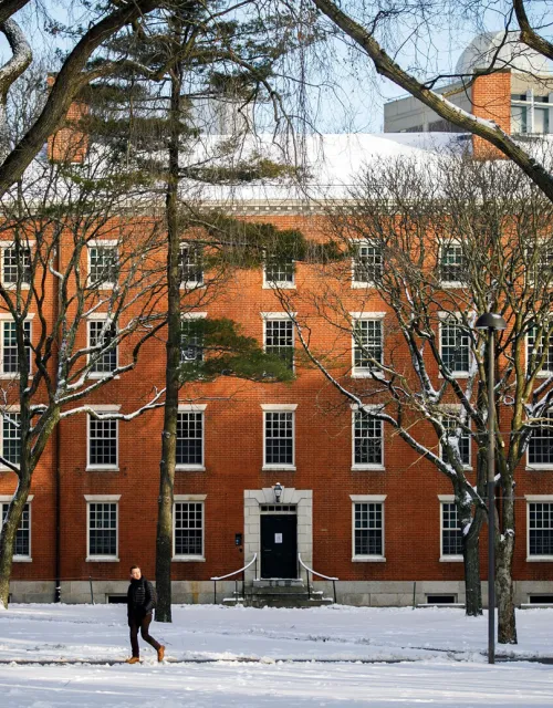 Harvard Yard in January.