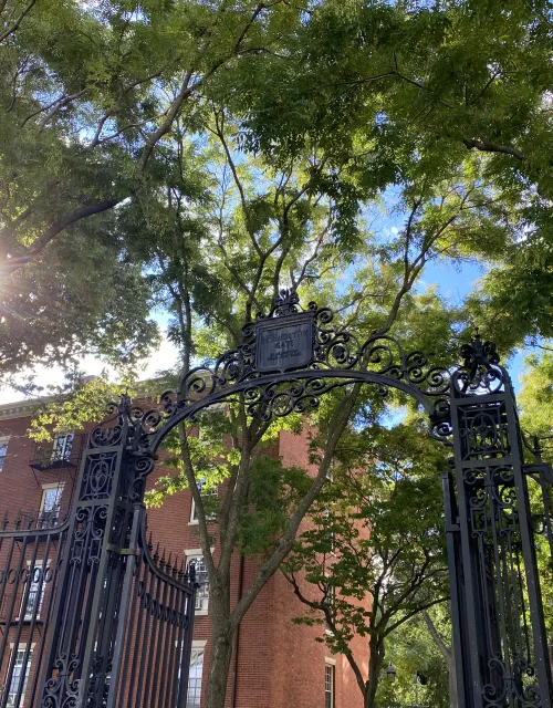 An elegant wrought iron gate with decorative elements, partially open. The Harvard gate has a detailed crest at the center top and appears to be quite old. Above the gate, lush green trees create a canopy, with the sunlight filtering through the leaves, creating a play of light and shadow. The sun is visible through the trees, adding a warm, bright spot to the upper left corner of the image. In the background, a red brick building with white framed windows can be seen, which complements the historical feel.