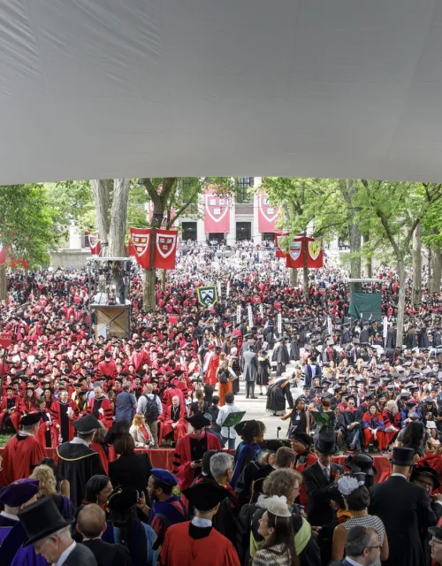 Large crowd of graduates in caps and gowns at an outdoor commencement ceremony.