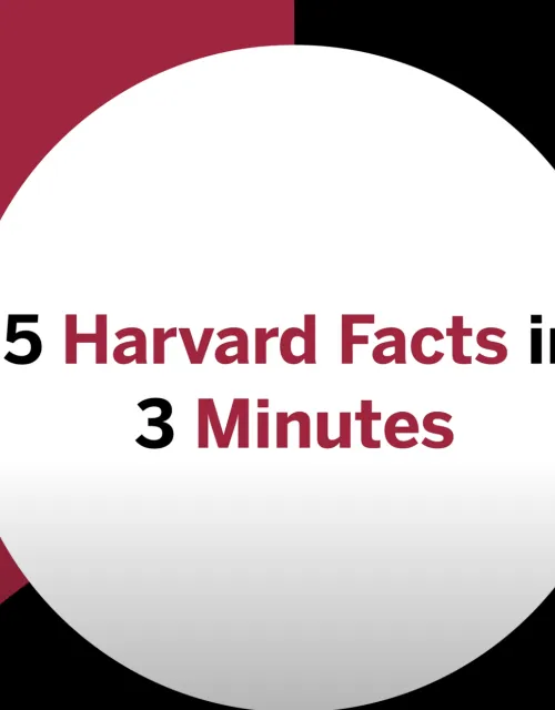 5 Harvard Facts in 3 Minutes