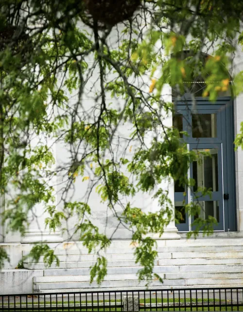 Students walk up set of stairs outside building 