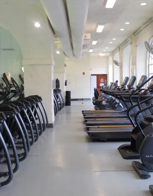 Row of treadmills and elliptical machines in a gym with large windows