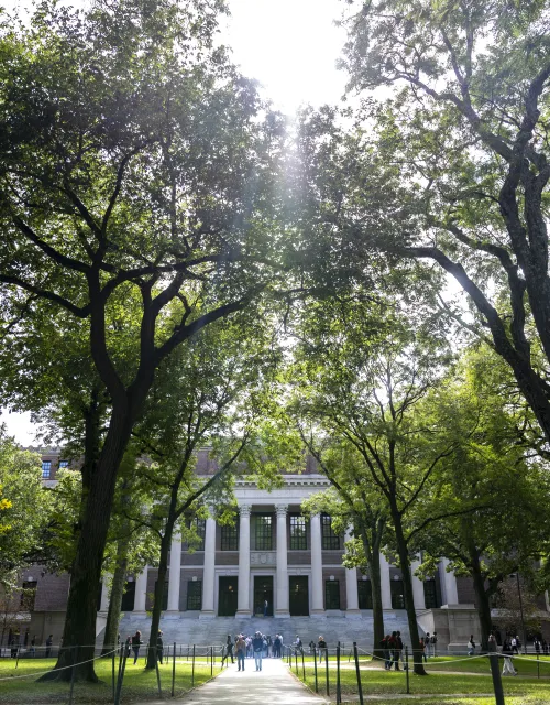 Widener Library during Fall in Harvard Yard at Harvard University.