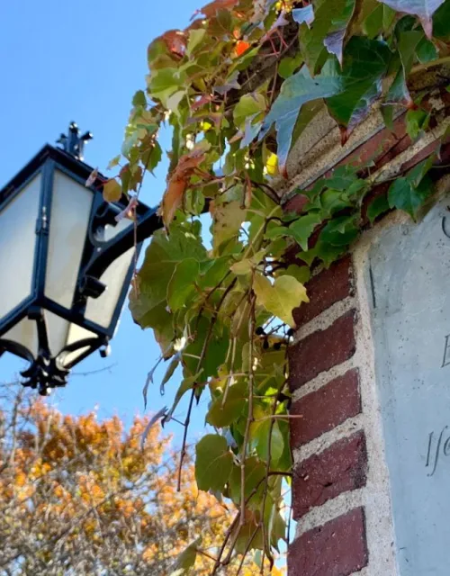 A brick pillar with an engraved plaque and ivy next to a black lamp post against a blue sky.