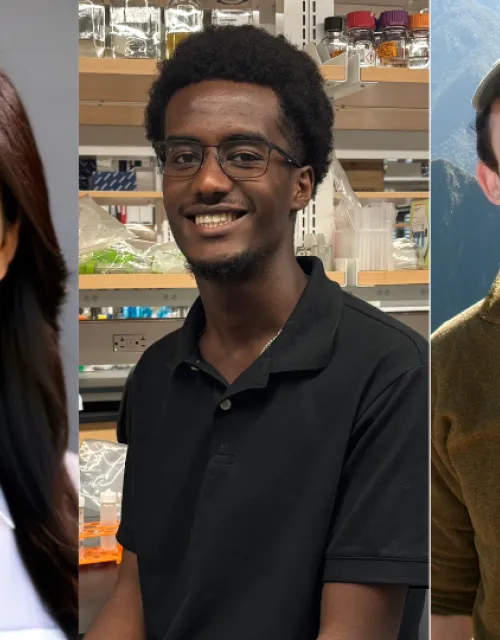 3 separate headshots side by side. From Left to Right: Lauren, Yerosen, Benjamin.