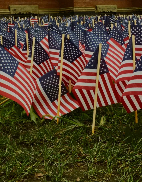 Many small American flags are planted in grass in front of a brick building.