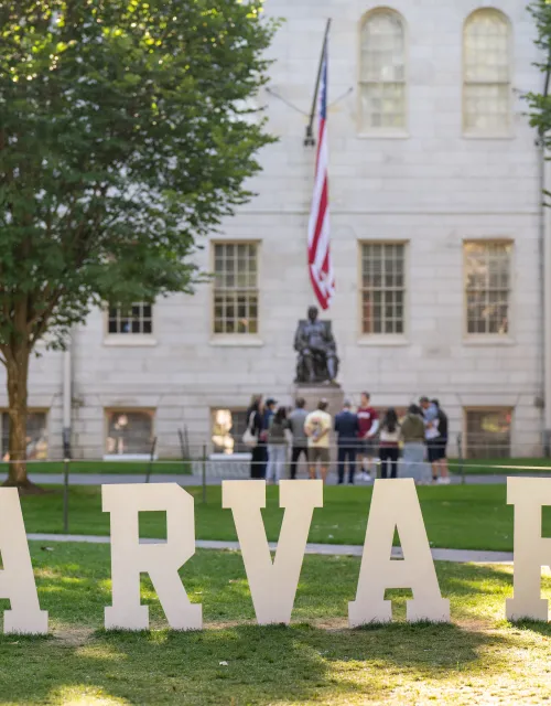Large letters spellin out "Harvard" out in Harvard Yard.