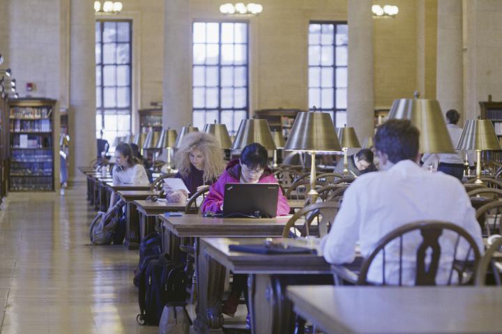 Students studying in Widener Library