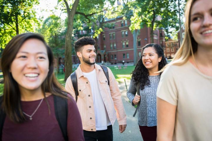 Informacion En Espanol Harvard