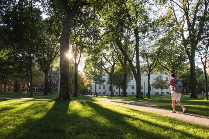 A student walks through Harvard Yard at dusk