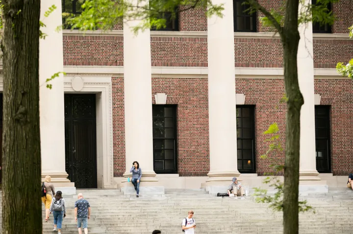 harvard yard widener library