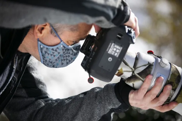 Gonzalo Giribet, professor of organismic and evolutionary biology, has been going out in the early morning to take photographs of birds since the pandemic started. He is pictured in Mount Auburn Cemetery.