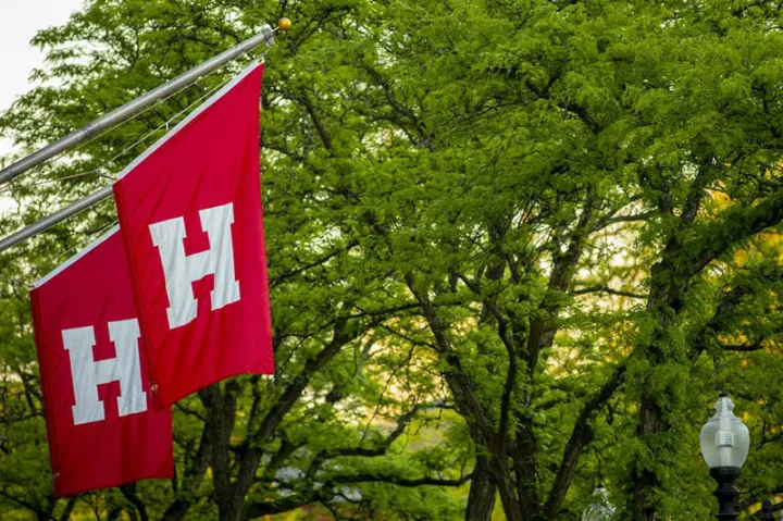 Crimson flag with the letter H