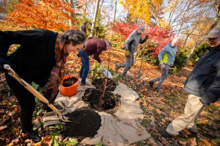 Adele Fleet Bacow (from left), President Larry Bacow, Conor Guidarelli, Andrew Gapinski, and William (Ned) Friedman helped plant the three trees at Elmwood.