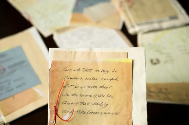 Props from the Apple+ TV series “Dickinson” were donated to Houghton Library, marking it a first for the library.