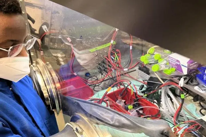 Naphtal Haya, S.B. '22, researched ways to improve the energy density of organic flow batteries for his senior capstone project.