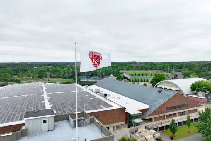 Harvard Title IX flag flying over the athletic fields.