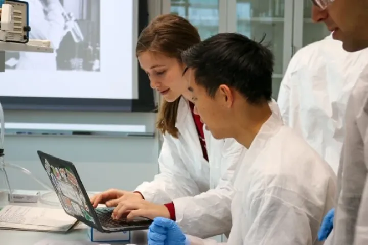 Students work together on their bacterial art design