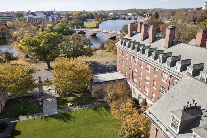 The Weeks Bridge as seen from the Dunster House tower.
