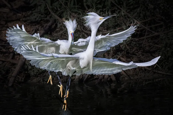 “Fly With Me” was photographed in April 2022 by Yun Thwaits.