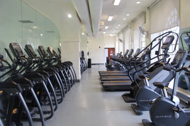 Row of treadmills and elliptical machines in a gym with large windows