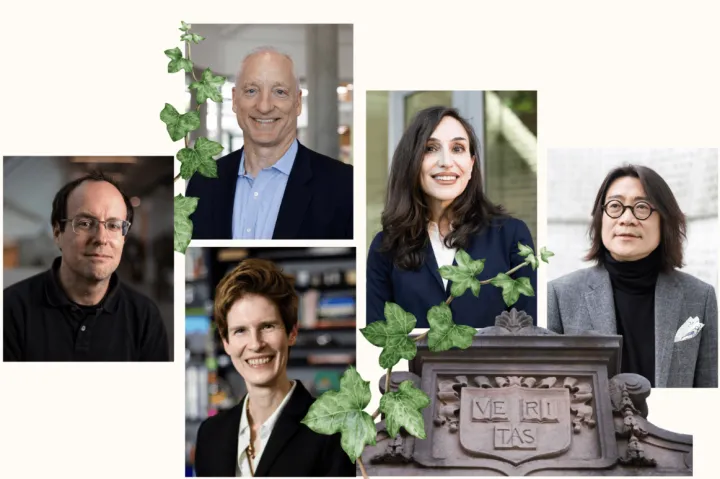 File photos by Veasey Conway/Harvard Staff Photographer, Grace DuVal, and Stephanie Mitchell/Harvard Staff Photographer; photo illustration by Liz Zonarich/Harvard Staff